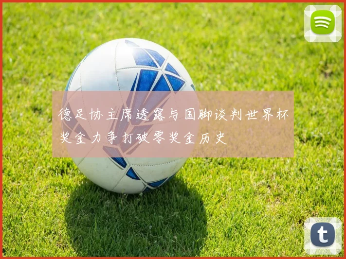 德足协主席透露与国脚谈判世界杯奖金力争打破零奖金历史